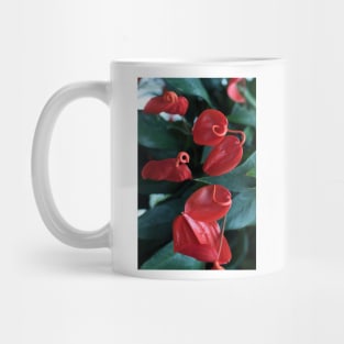 Red Flowers Mug